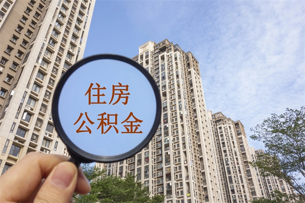 查询我的住房公积金-驻马店公积金代办平台